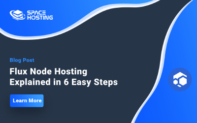 Flux Node’ Costs: The Ultimate Beginners Guide