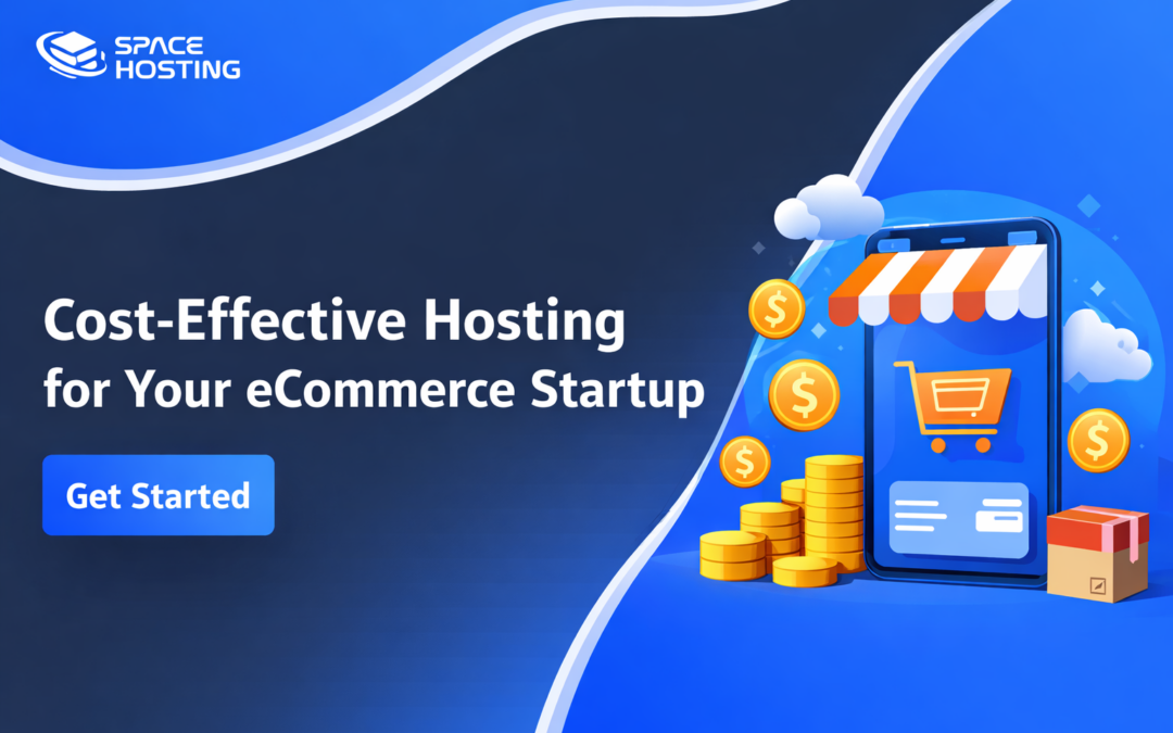 Cost-Effective Hosting Services for E-commerce Startups